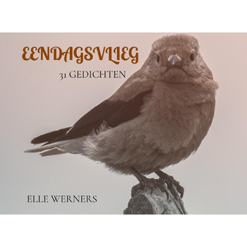EENDAGSVLIEG (Paperback) bij Singel 344
