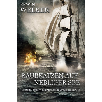 Raubkatzen auf nebliger See (Paperback) bij Singel 344