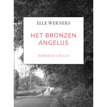 HET BRONZEN ANGELUS (Paperback) bij Singel 344