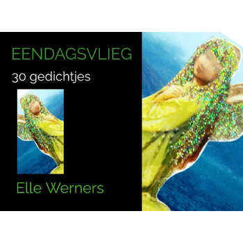 EENDAGSVLIEG (Paperback) bij Singel 344