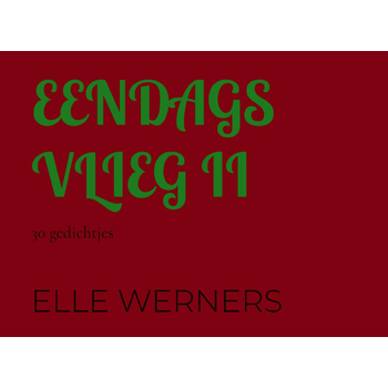 EENDAGSVLIEG II (Paperback) bij Singel 344
