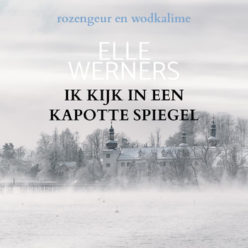 IK KIJK IN EEN KAPOTTE SPIEGEL (Paperback) bij Singel 344