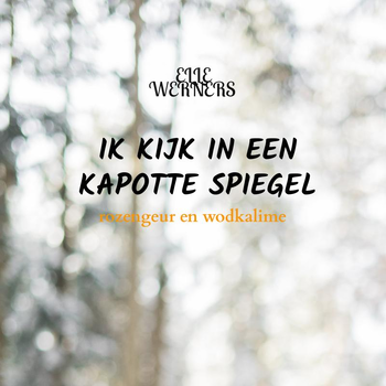 IK KIJK IN EEN KAPOTTE SPIEGEL (Paperback) bij Singel 344