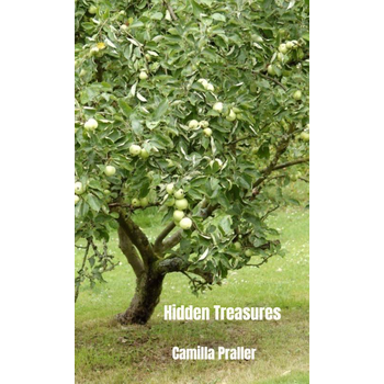Hidden Treasures (Paperback) bij Singel 344