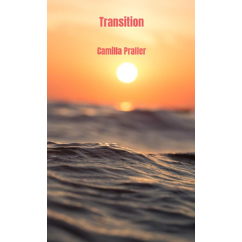 Transition (Paperback) bij Singel 344