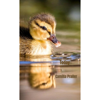 Today (Paperback) bij Singel 344
