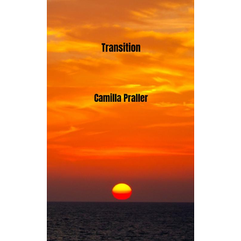 Transition (Paperback) bij Singel 344