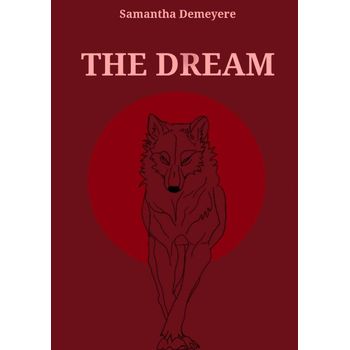 The dream (Paperback) bij Singel 344