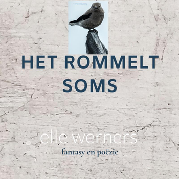HET ROMMELT SOMS (Paperback) bij Singel 344