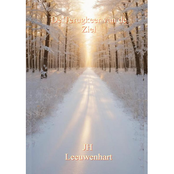De Terugkeer van de Ziel (Hardback) bij Singel 344