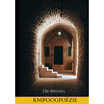 KNIPOOGPOËZIE (Paperback) bij Singel 344