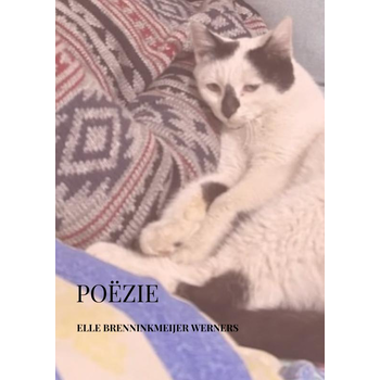 POËZIE (Paperback) bij Singel 344