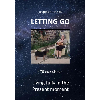 LETTING GO (Paperback) bij Singel 344