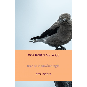 een meisje op weg (Paperback) bij Singel 344