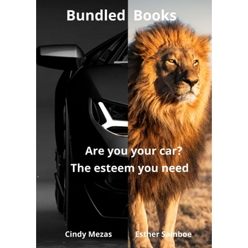 Bundled Books: Are You Your Car? | The Esteem You Need (Paperback) bij Singel 344