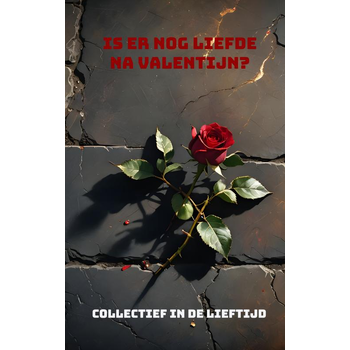 Is er nog liefde na Valentijn? (Paperback) bij Singel 344