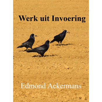 Werk uit invoering (Paperback) bij Singel 344