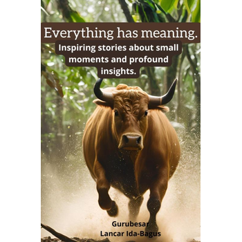 Everything has meaning. (Hardback) bij Singel 344