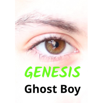 Genesis (Paperback) bij Singel 344