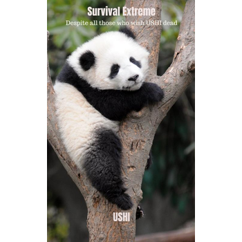 Survival Extreme (Paperback) bij Singel 344