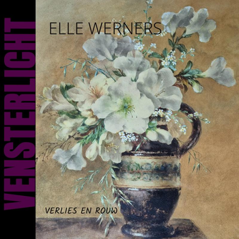 VENSTERLICHT (Paperback) bij Singel 344