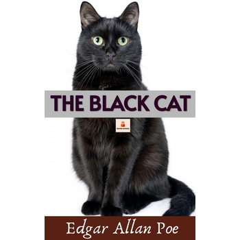 The Black Cat (Paperback) bij Singel 344