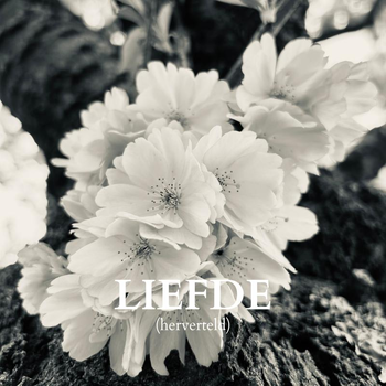 Liefde (Paperback) bij Singel 344