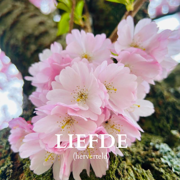Liefde (Hardback) bij Singel 344