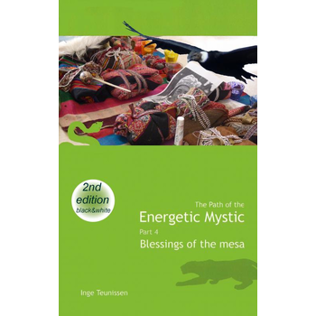 The Path of the Energetic Mystic (Paperback) bij Singel 344
