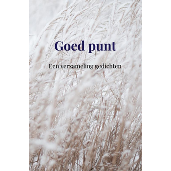 Goed punt (Hardback) bij Singel 344