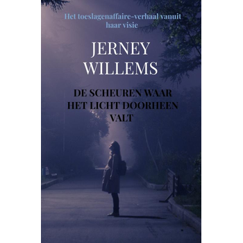 De scheuren waar het licht doorheen valt (Hardback) van Jerney Willems