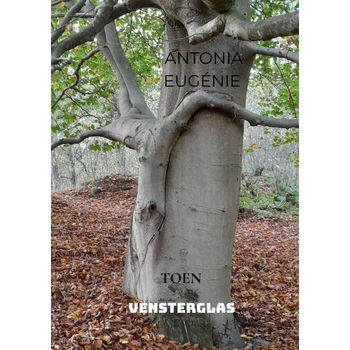 VENSTERGLAS (Paperback) bij Singel 344