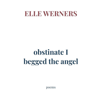 obstinate I begged the angel (Paperback) bij Singel 344