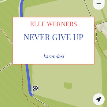 NEVER GIVE UP (Paperback) bij Singel 344