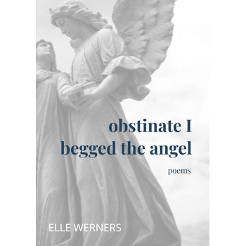 obstinate I begged the angel (Paperback) bij Singel 344