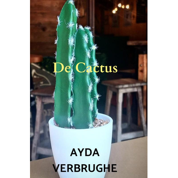 De Cactus (Hardback) bij Singel 344