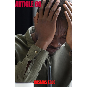 Article 60 (Paperback) bij Singel 344