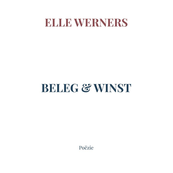 BELEG & WINST (Paperback) bij Singel 344