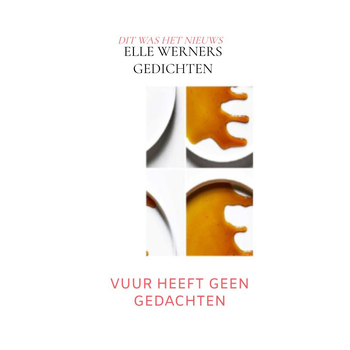 VUUR HEEFT GEEN GEDACHTEN (Hardback) bij Singel 344