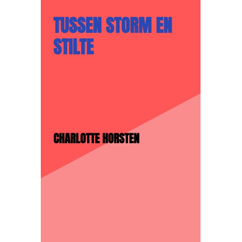 Tussen Storm en Stilte (Paperback) bij Singel 344