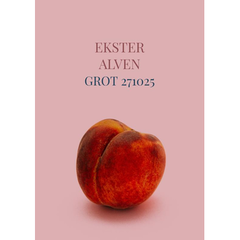 Grot 271025 (Paperback) bij Singel 344
