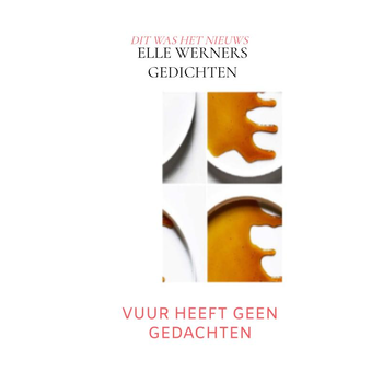 VUUR HEEFT GEEN GEDACHTEN (Paperback) bij Singel 344