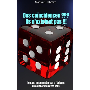 Des coïncidences ??? Ils n'existent pas !!! (Paperback) bij Singel 344