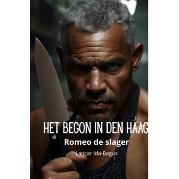 Het begon in Den Haag (Hardback) bij Singel 344