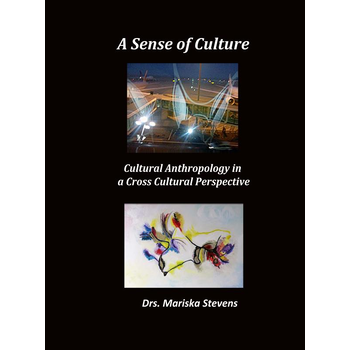 A Sense of Culture (Paperback) bij Singel 344