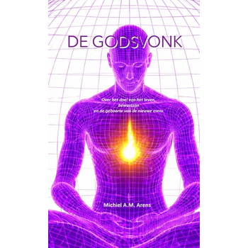 De Godsvonk (Paperback) bij Singel 344