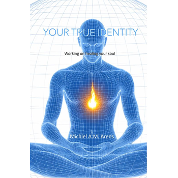 Your True Identity (Paperback) bij Singel 344