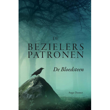 De Bezielerspatronen (Paperback) bij Singel 344