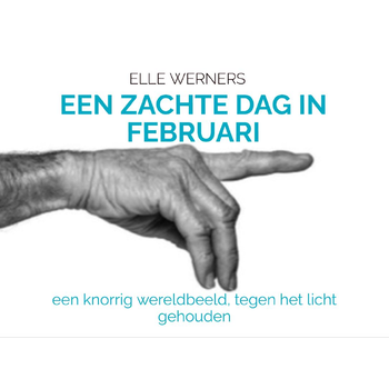 EEN ZACHTE DAG IN FEBRUARI (Paperback) bij Singel 344