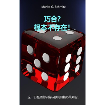 Qiǎohé? Gēnběn bù cúnzài! (Paperback) bij Singel 344